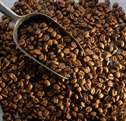 ��� ����